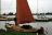 Hout Moed